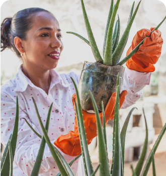 garden care