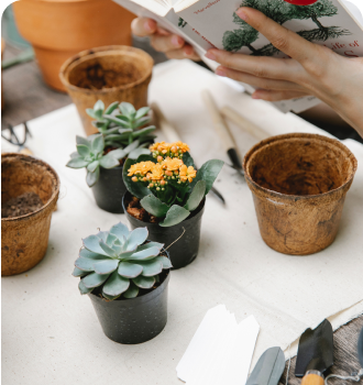 garden care