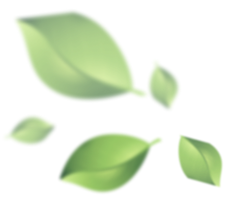 leafs image