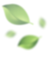 leafs contacts image